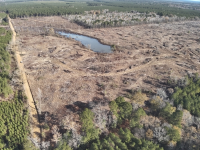 Cleared Land W/ Pond W/ Road in Calhoun County, Arkansas for sale - image 7