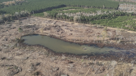 Cleared Land W/ Pond W/ Road in Calhoun County, Arkansas for sale - image 9