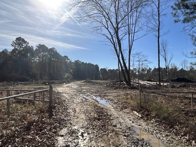 Cleared Land W/ Pond W/ Road in Calhoun County, Arkansas for sale - image 11