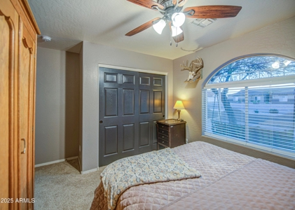 Upgraded Equestrian Retreat with Casita, Pool & Modern Amenities - image 19