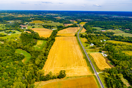 Kansas Farmland For Sale Absolute Auction - image 8