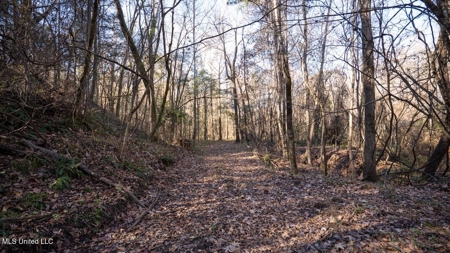84.5 Acres in Woodville, MS on Hwy 24 with Creeks - image 37