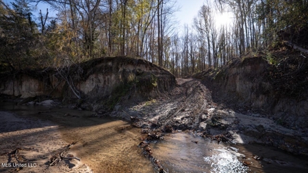 84.5 Acres in Woodville, MS on Hwy 24 with Creeks - image 16