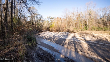 84.5 Acres in Woodville, MS on Hwy 24 with Creeks - image 18