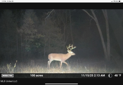 84.5 Acres in Woodville, MS on Hwy 24 with Creeks - image 41