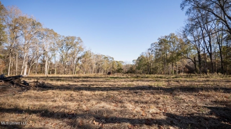 84.5 Acres in Woodville, MS on Hwy 24 with Creeks - image 12