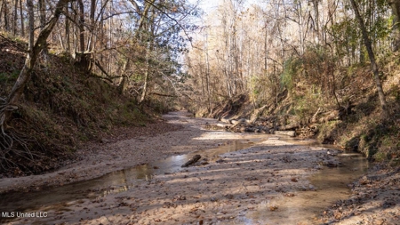 84.5 Acres in Woodville, MS on Hwy 24 with Creeks - image 35