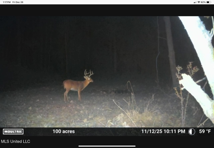 84.5 Acres in Woodville, MS on Hwy 24 with Creeks - image 42