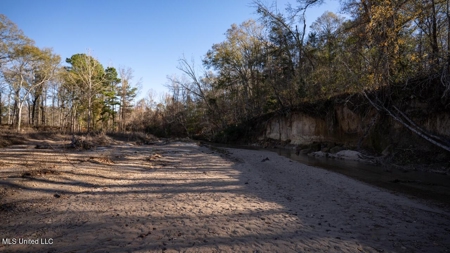 84.5 Acres in Woodville, MS on Hwy 24 with Creeks - image 15