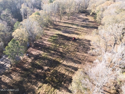 84.5 Acres in Woodville, MS on Hwy 24 with Creeks - image 1
