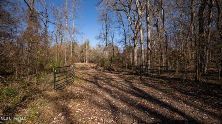 84.5 Acres in Woodville, MS on Hwy 24 with Creeks - image 39