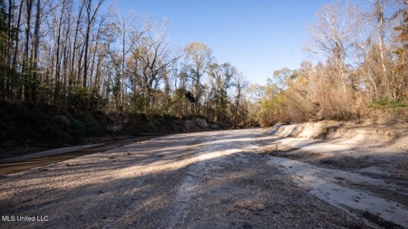 84.5 Acres in Woodville, MS on Hwy 24 with Creeks - image 13