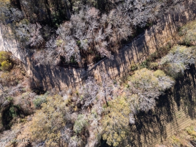 84.5 Acres in Woodville, MS on Hwy 24 with Creeks - image 4