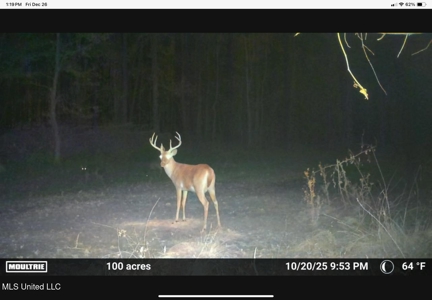 84.5 Acres in Woodville, MS on Hwy 24 with Creeks - image 44