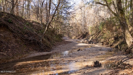 84.5 Acres in Woodville, MS on Hwy 24 with Creeks - image 33