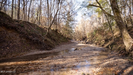 84.5 Acres in Woodville, MS on Hwy 24 with Creeks - image 34