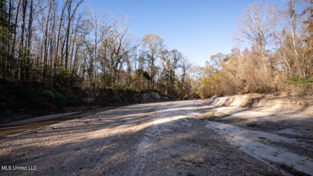 84.5 Acres in Woodville, MS on Hwy 24 with Creeks - image 14
