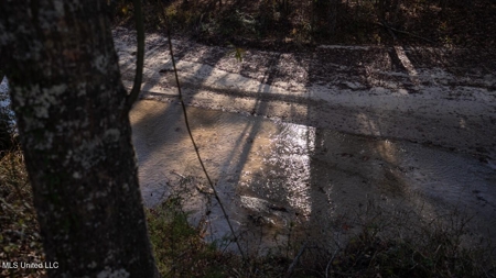 84.5 Acres in Woodville, MS on Hwy 24 with Creeks - image 6