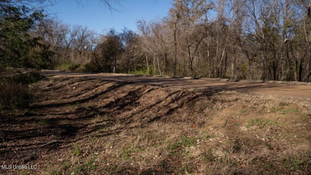 84.5 Acres in Woodville, MS on Hwy 24 with Creeks - image 40
