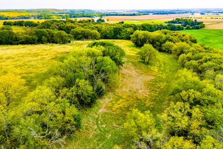 Absolute Auction Kansas Land For Sale - image 14