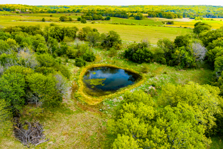Absolute Auction Kansas Land For Sale - image 15