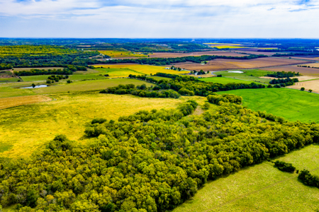 Absolute Auction Kansas Land For Sale - image 8