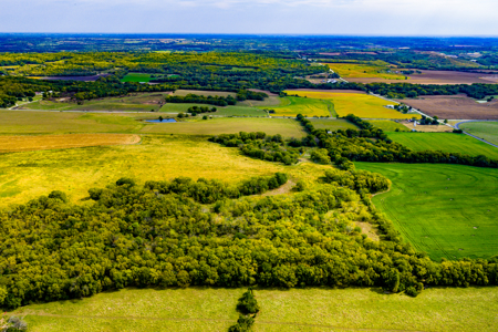 Absolute Auction Kansas Land For Sale - image 9