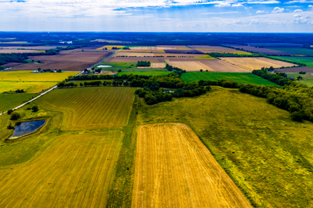 Absolute Auction Kansas Land For Sale - image 7