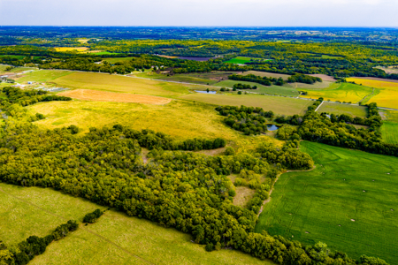 Absolute Auction Kansas Land For Sale - image 10