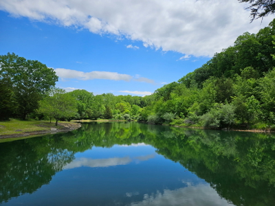 Putnam County Country Home and 158 Acres For Sale - image 5