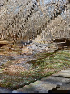 Putnam County Country Home and 158 Acres For Sale - image 19