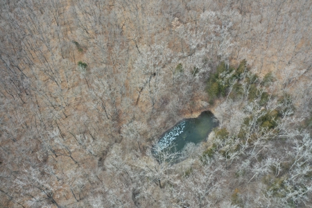 Putnam County Country Home and 158 Acres For Sale - image 42