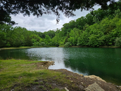 Putnam County Country Home and 158 Acres For Sale - image 9