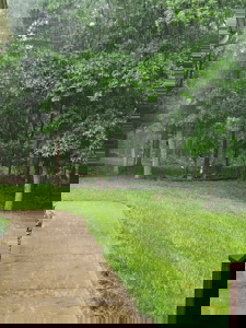 Putnam County Country Home and 158 Acres For Sale - image 10