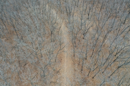 Putnam County Country Home and 158 Acres For Sale - image 41