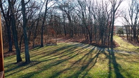 Putnam County Country Home and 158 Acres For Sale - image 11