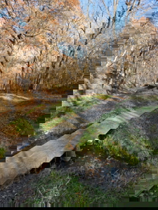 Putnam County Country Home and 158 Acres For Sale - image 21