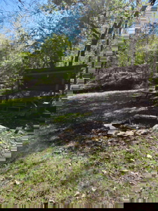 Putnam County Country Home and 158 Acres For Sale - image 8