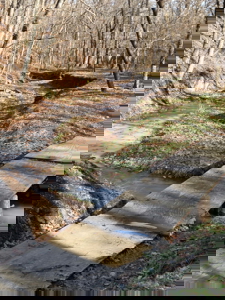 Putnam County Country Home and 158 Acres For Sale - image 20