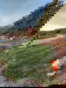 Putnam County Country Home and 158 Acres For Sale - image 3