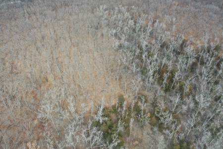 Putnam County Country Home and 158 Acres For Sale - image 46