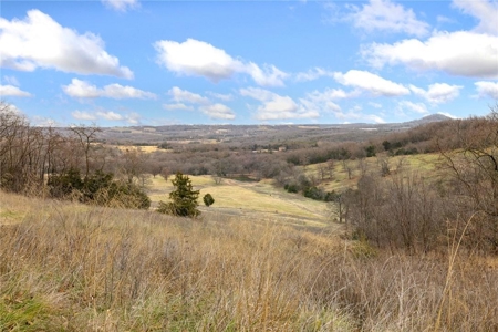 Carroll County 172+ Acre Farm and Hunting Property For Sale - image 16