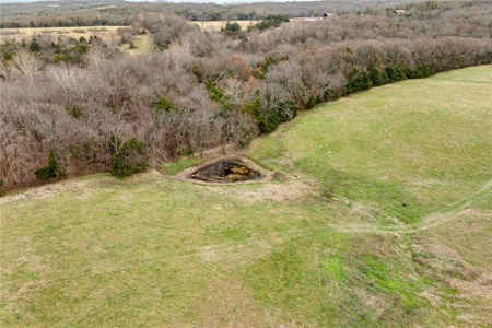 Carroll County 172+ Acre Farm and Hunting Property For Sale - image 9