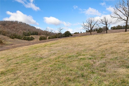 Carroll County 172+ Acre Farm and Hunting Property For Sale - image 17