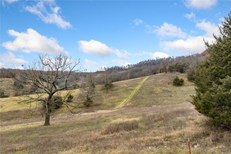 Carroll County 172+ Acre Farm and Hunting Property For Sale - image 43