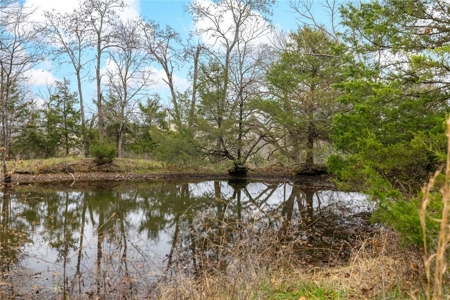 Carroll County 172+ Acre Farm and Hunting Property For Sale - image 5