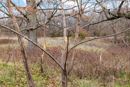 Carroll County 172+ Acre Farm and Hunting Property For Sale - image 15