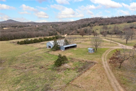 Carroll County 172+ Acre Farm and Hunting Property For Sale - image 2
