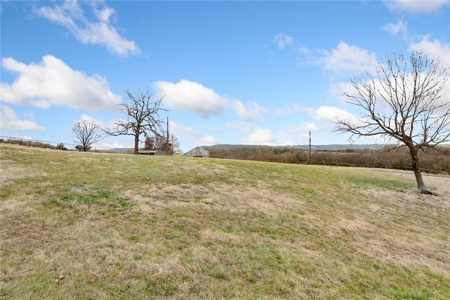 Carroll County 172+ Acre Farm and Hunting Property For Sale - image 46
