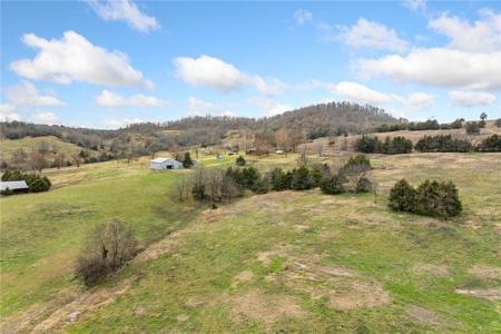 Carroll County 172+ Acre Farm and Hunting Property For Sale - image 3